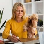 Home office com pets: 5 dicas para conciliar