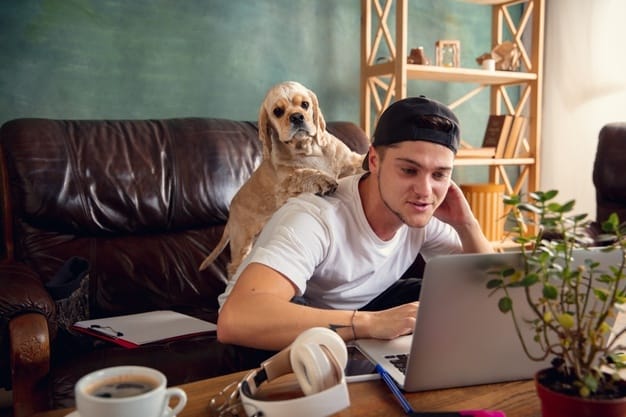benefícios de pets no home office
